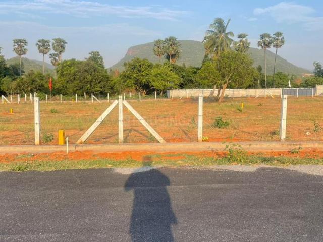 Residential Plot in Ramavaram for resale Visakhapatnam. The reference number is 20369443