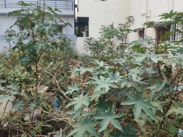 Residential Plot in Ramamurthy Nagar for resale Bengaluru. The reference number is 20034763