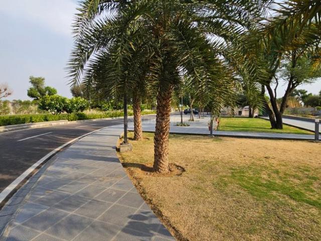 Residential Plot in Ramchandpura for resale Jaipur. The reference number is 20046779
