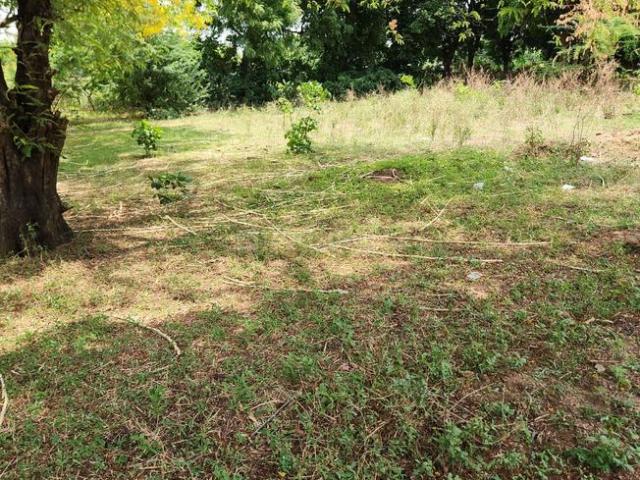 Residential Plot in Randesan for resale Gandhinagar. The reference number is 18536208