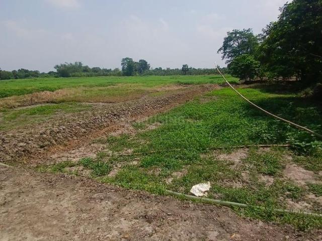 Residential Plot in Rania for resale Kolkata. The reference number is 19969307