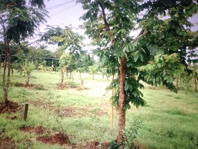 Residential Plot in Ranjanpada for resale Navi Mumbai. The reference number is 17692899