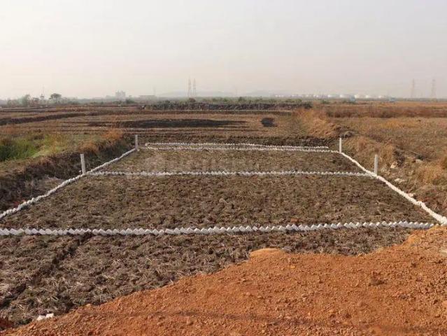 Residential Plot in Ranjanpada for resale Navi Mumbai. The reference number is 20391390