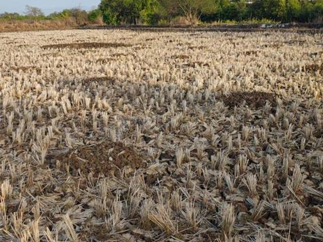 Residential Plot in Ranjanpada for resale Navi Mumbai. The reference number is 20462707