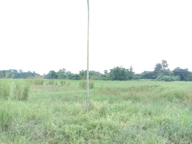 Residential Plot in Rasapunja for resale Kolkata. The reference number is 12764081