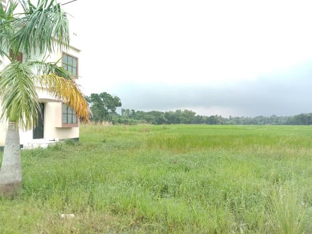 Residential Plot in Rasapunja for resale Kolkata. The reference number is 12837040