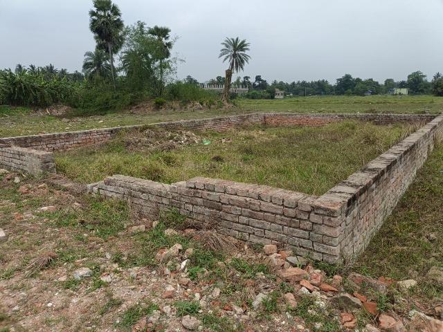 Residential Plot in Rasapunja for resale Raypur. The reference number is 17518471