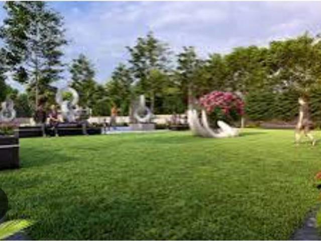 Residential Plot in Rau for resale Indore. The reference number is 19061965