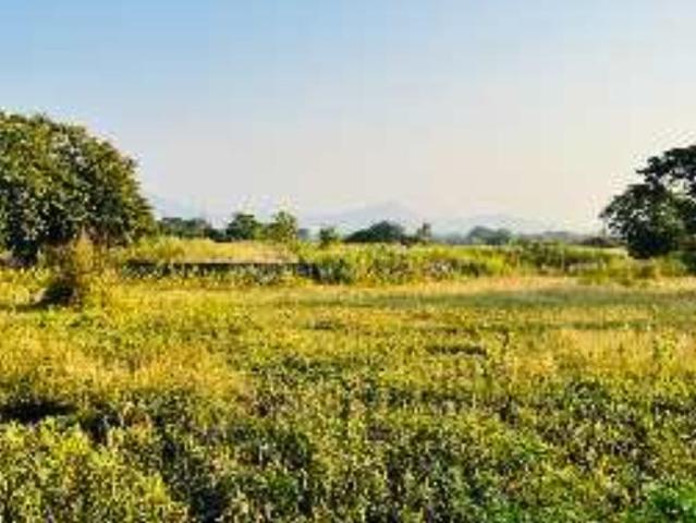 Residential Plot in Roha for resale Raigad. The reference number is 14987708