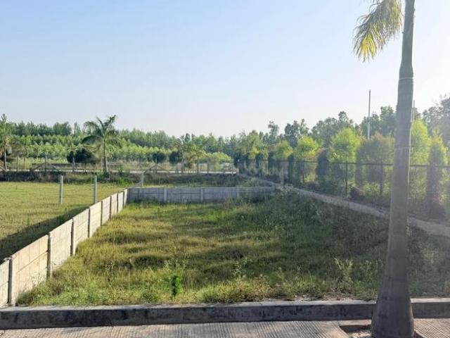 Residential Plot in Sunderpur for resale Saharanpur. The reference number is 20319160