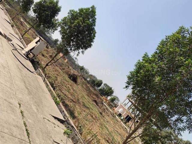Residential Plot in Saddu for resale Raipur. The reference number is 19573523