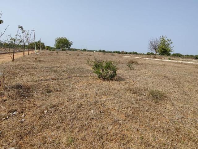 Residential Plot in Saduvelly for resale Yadadri Bhuvanagiri. The reference number is 10400358