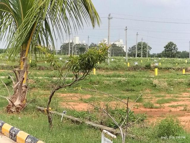 Residential Plot in Saduvelly for resale Yadadri Bhuvanagiri. The reference number is 20938101