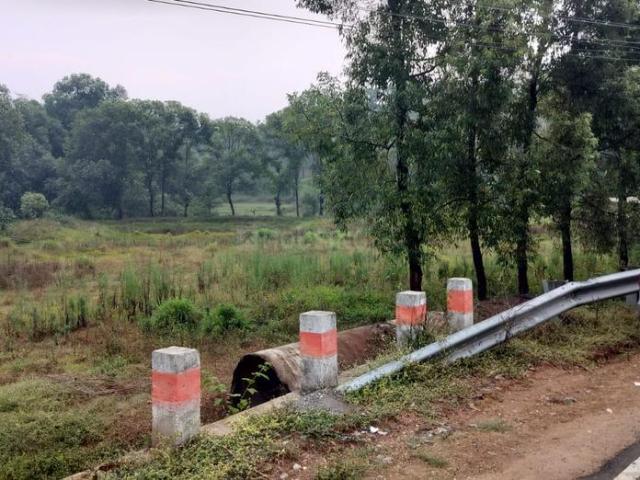 Residential Plot in Sakleshpur for resale Hassan. The reference number is 19861498