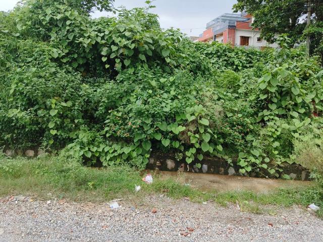 Residential Plot in Sahastradhara Road for resale Dehradun. The reference number is 20883433