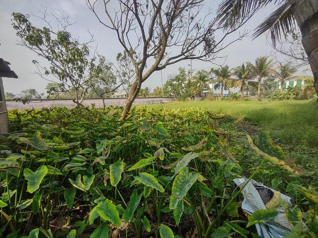 Residential Plot in Thakurpukur for resale South Kolkata. The reference number is 15586279