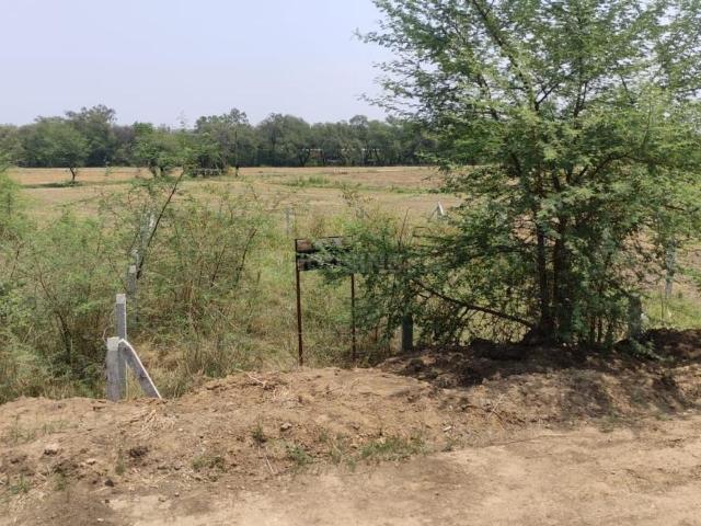 Residential Plot in Salaiya for resale Bhopal. The reference number is 14335739