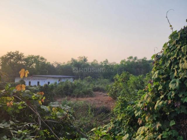 Residential Plot in Salvador Do Mundo for resale Goa. The reference number is 17202098