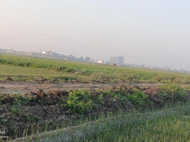 Residential Plot in Sampatchak for resale Patna. The reference number is 19446028