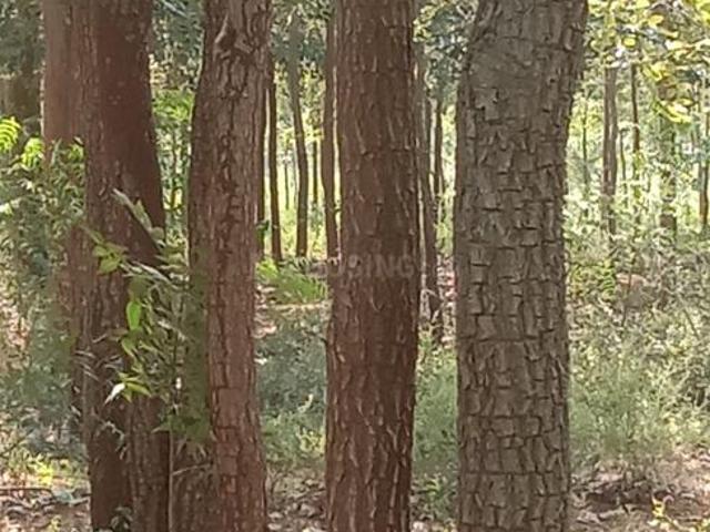 Residential Plot in Sangareddy Town for resale Sangareddy. The reference number is 18974696