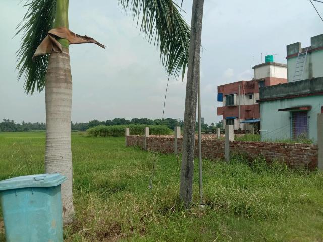 Residential Plot in Sankharipota for resale Raypur. The reference number is 20828905