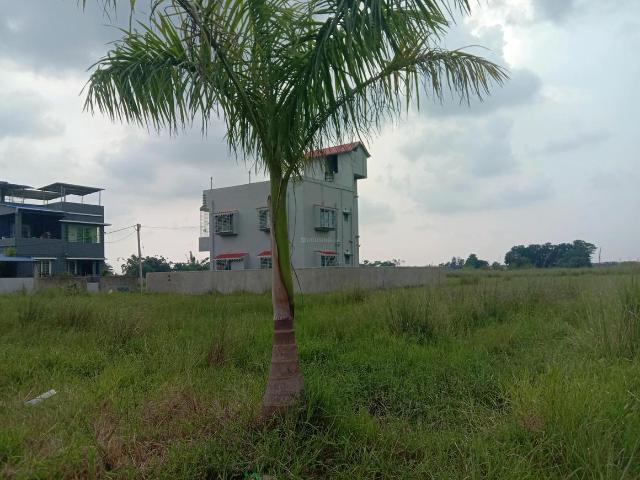 Residential Plot in Sankharipota for resale Raypur. The reference number is 20829252
