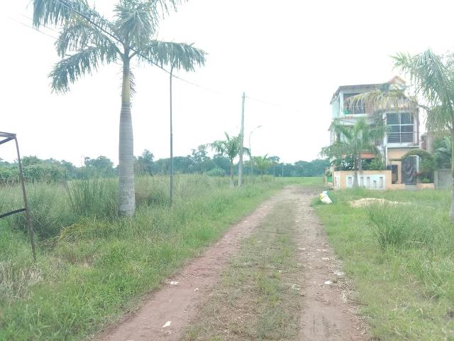 Residential Plot in Sankharipota for resale Raypur. The reference number is 20829290