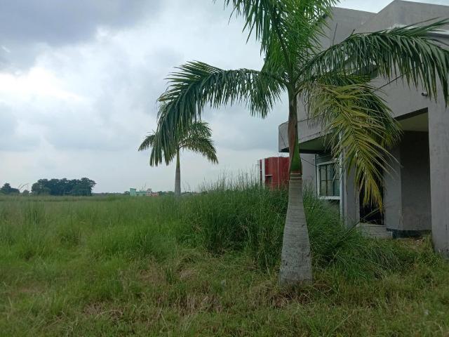 Residential Plot in Sankharipota for resale Raypur. The reference number is 20829462