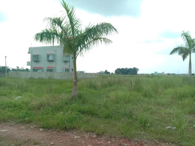 Residential Plot in Sankharipota for resale Raypur. The reference number is 20829780