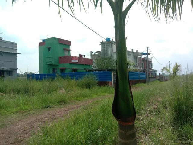 Residential Plot in Sankharipota for resale Raypur. The reference number is 20830178