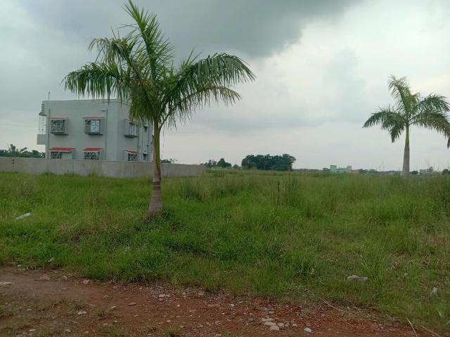 Residential Plot in Sankharipota for resale Raypur. The reference number is 20830129