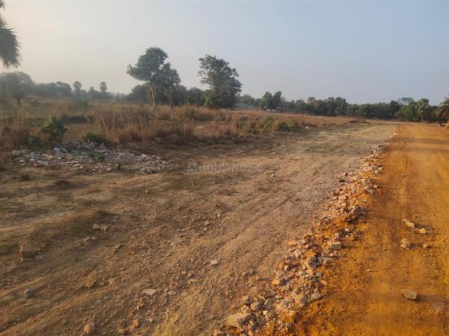 Residential Plot in Santiniketan for resale Bolpur Santiniketan. The reference number is 10350267