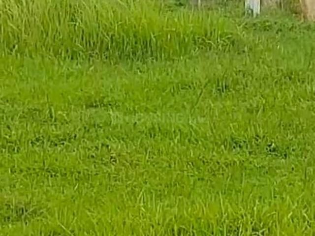 Residential Plot in Santiniketan for resale Bolpur Santiniketan. The reference number is 17707670