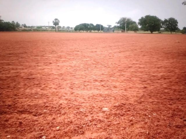 Residential Plot in Sarde for resale Navi Mumbai. The reference number is 17698332