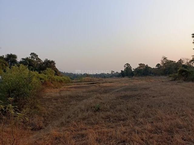 Residential Plot in Sarde for resale Navi Mumbai. The reference number is 19633868