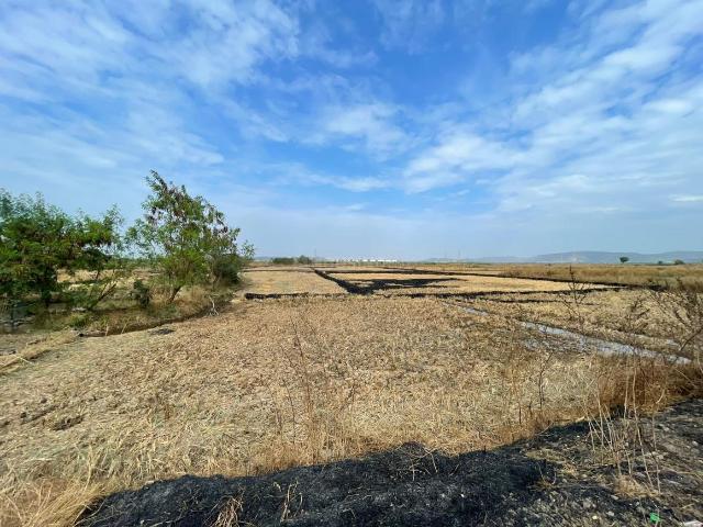 Residential Plot in Sarde for resale Navi Mumbai. The reference number is 19678375