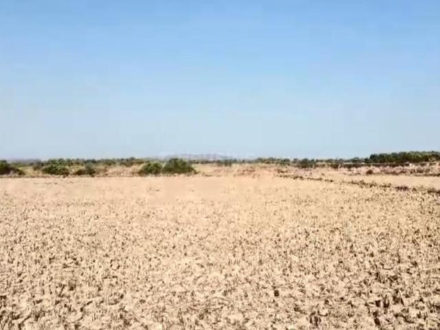 Residential Plot in Sarde for resale Navi Mumbai. The reference number is 19772714