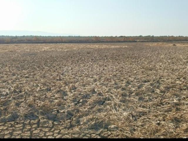 Residential Plot in Sarde for resale Navi Mumbai. The reference number is 19782693