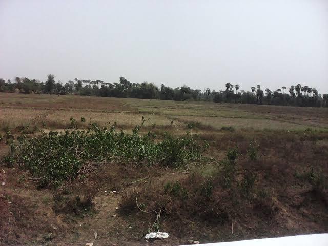 Residential Plot in Sarde for resale Navi Mumbai. The reference number is 19893653