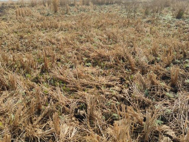 Residential Plot in Sarde for resale Navi Mumbai. The reference number is 19972118