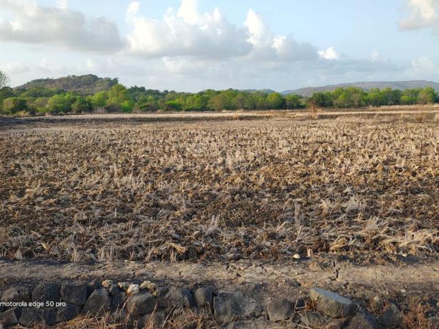 Residential Plot in Sarde for resale Navi Mumbai. The reference number is 20544864
