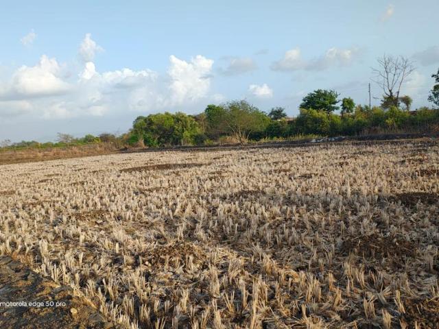 Residential Plot in Sarde for resale Navi Mumbai. The reference number is 20545169