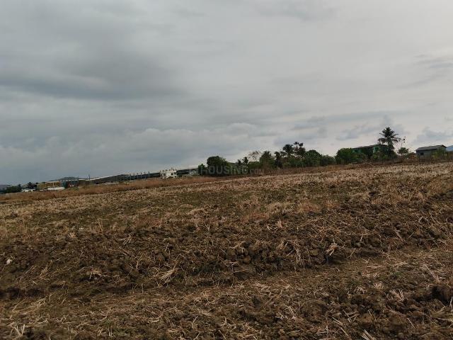 Residential Plot in Sarde for resale Navi Mumbai. The reference number is 20608424