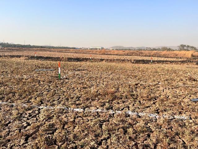 Residential Plot in Sarde for resale Navi Mumbai. The reference number is 20089502