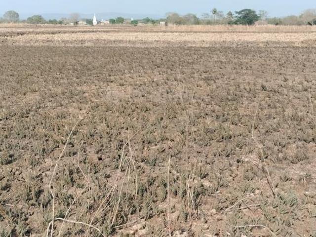 Residential Plot in Sarde for resale Navi Mumbai. The reference number is 20131687