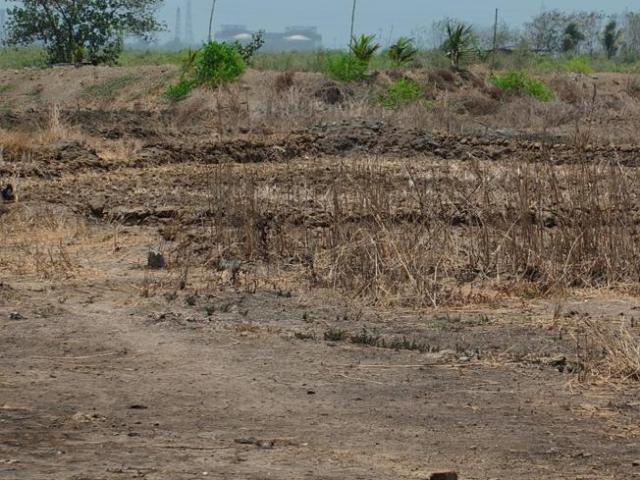 Residential Plot in Sarde for resale Navi Mumbai. The reference number is 20363106