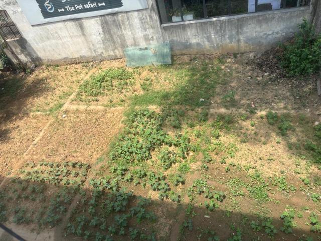 Residential Plot in Sector 43 for resale Gurgaon. The reference number is 20357600