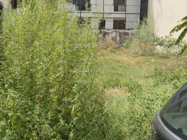 Residential Plot in Sector 40 for resale Noida. The reference number is 20620409