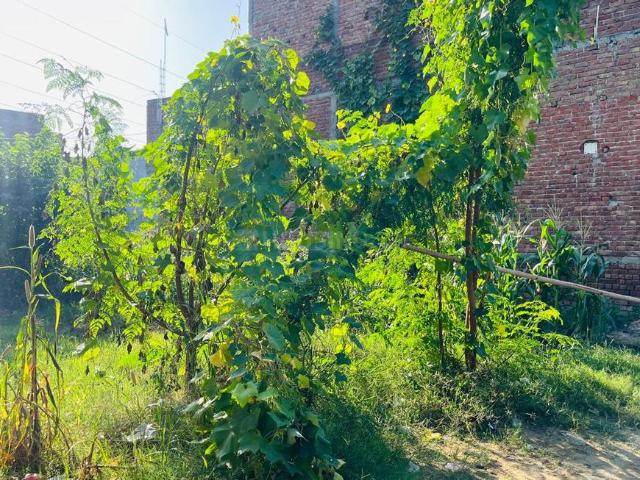 Residential Plot in Sector 53 for resale Faridabad. The reference number is 18416076