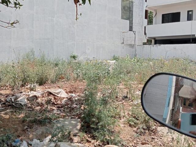 Residential Plot in Sector 51 for resale Gurgaon. The reference number is 20303415